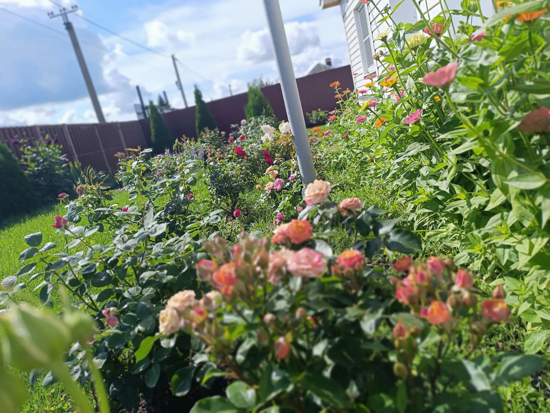 Моим глазам красиво очень ❤🌸🌈