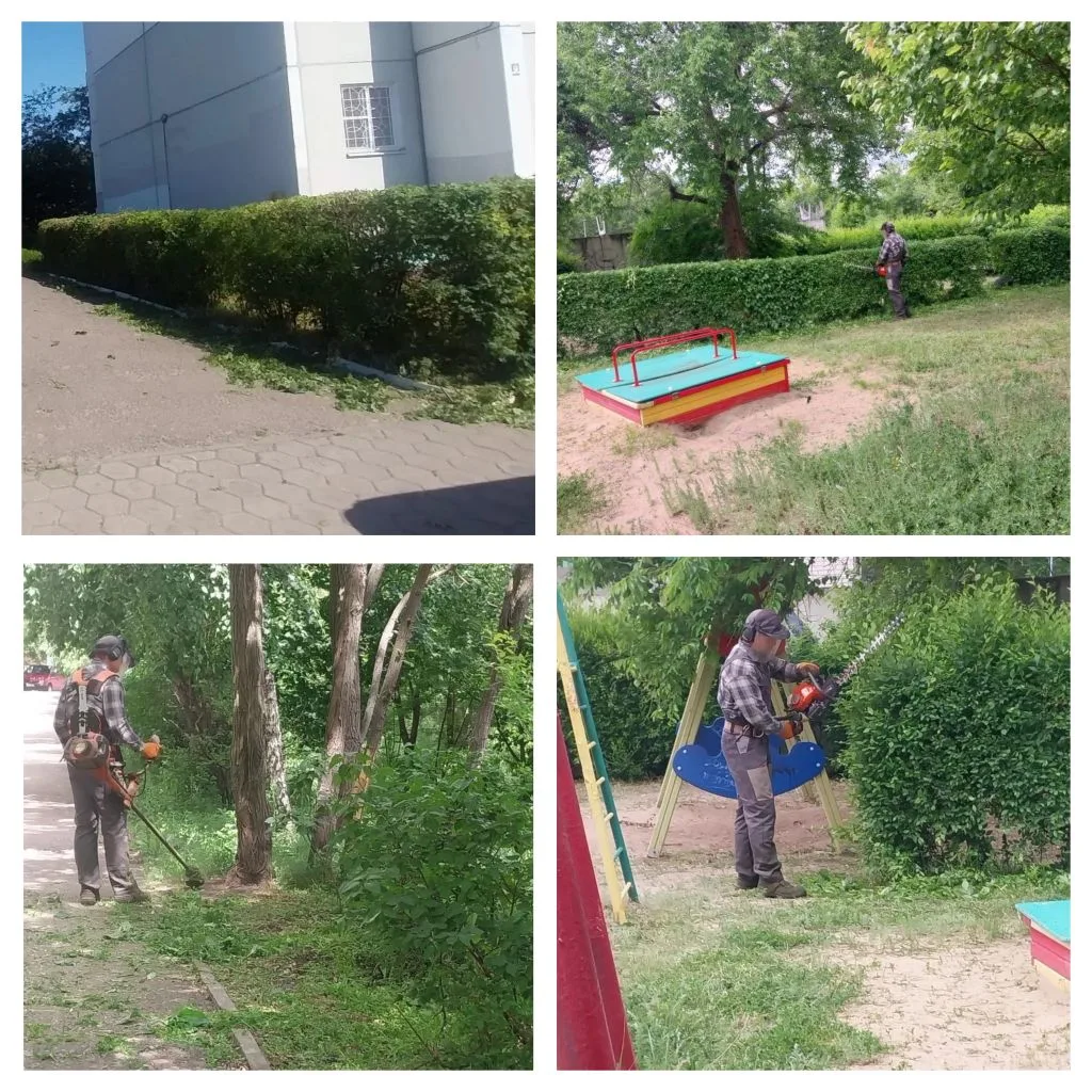 ✅ Выполненные работы.