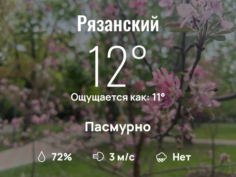 Что с погодой в Рязанском?