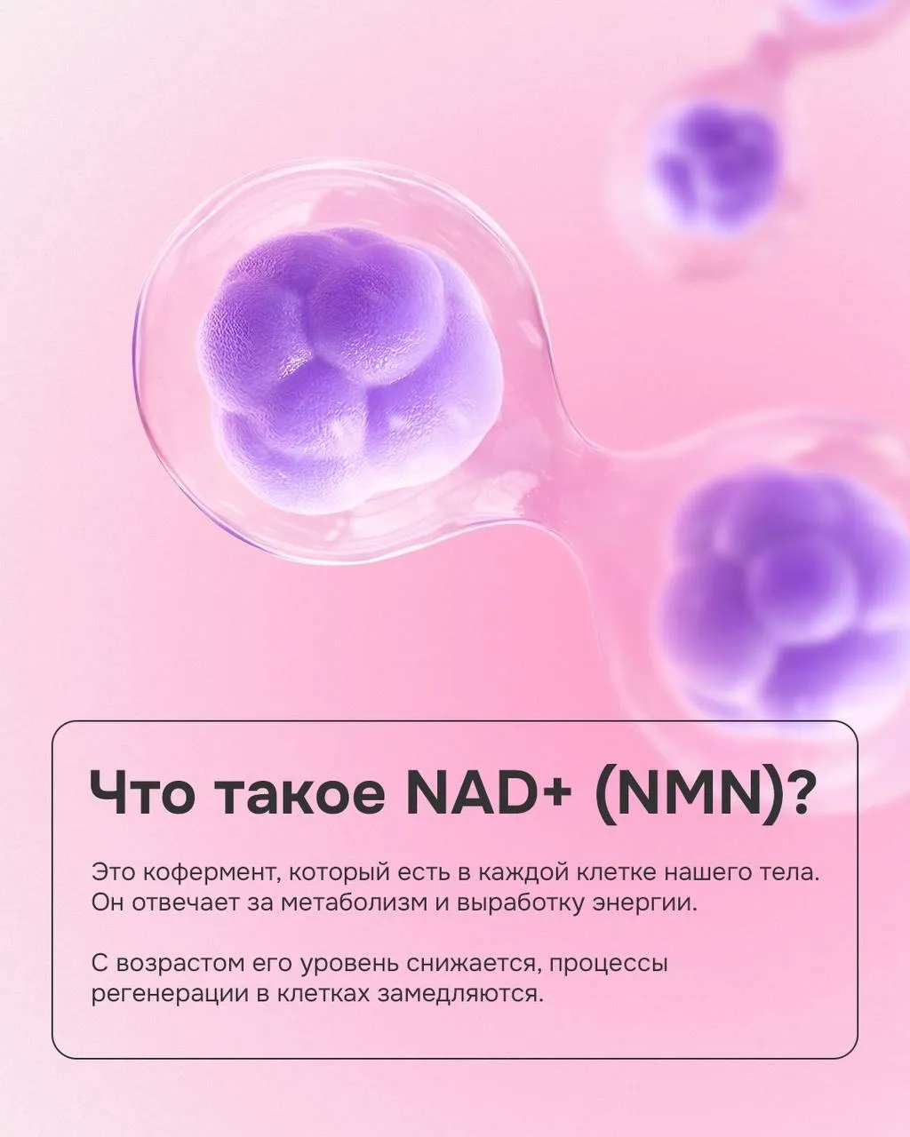 NAD+ и NMN — тренд 2026⚡️  Эти коферменты помогают коже включить механизмы восстановления, которые с