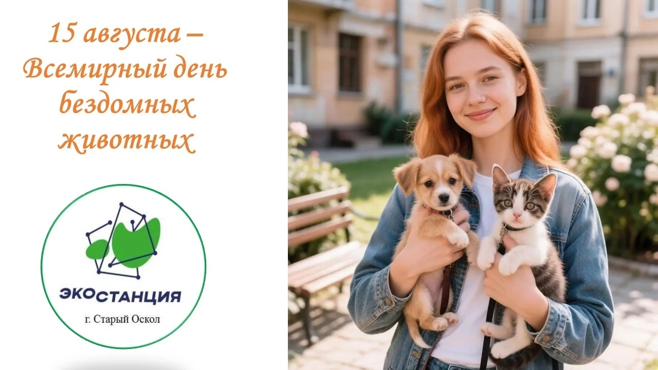🐾 15 августа — Международный день бездомных животных