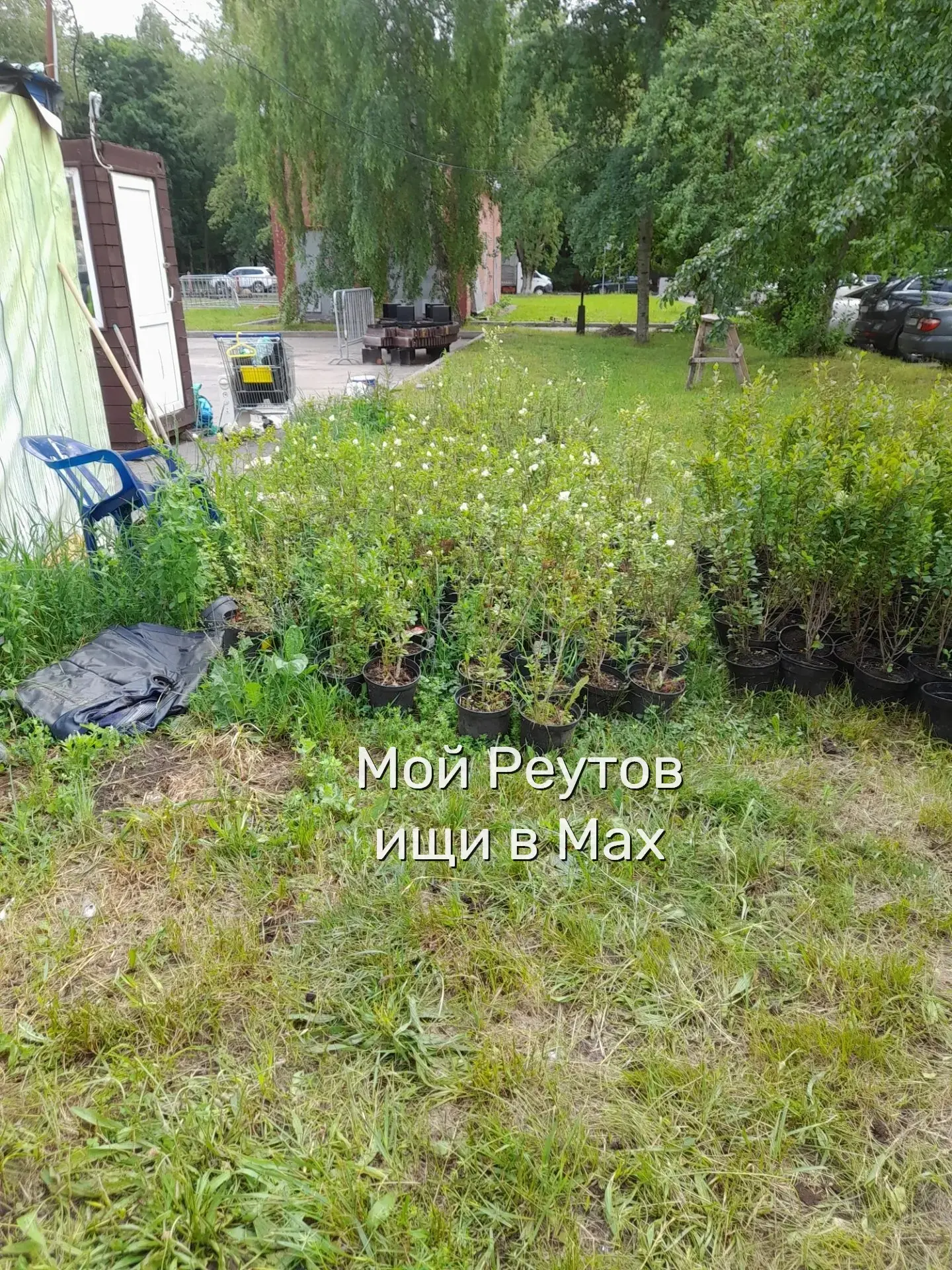❗ Здравствуйте, представители Администрации! После  обращения к вам с просьбой обновить...