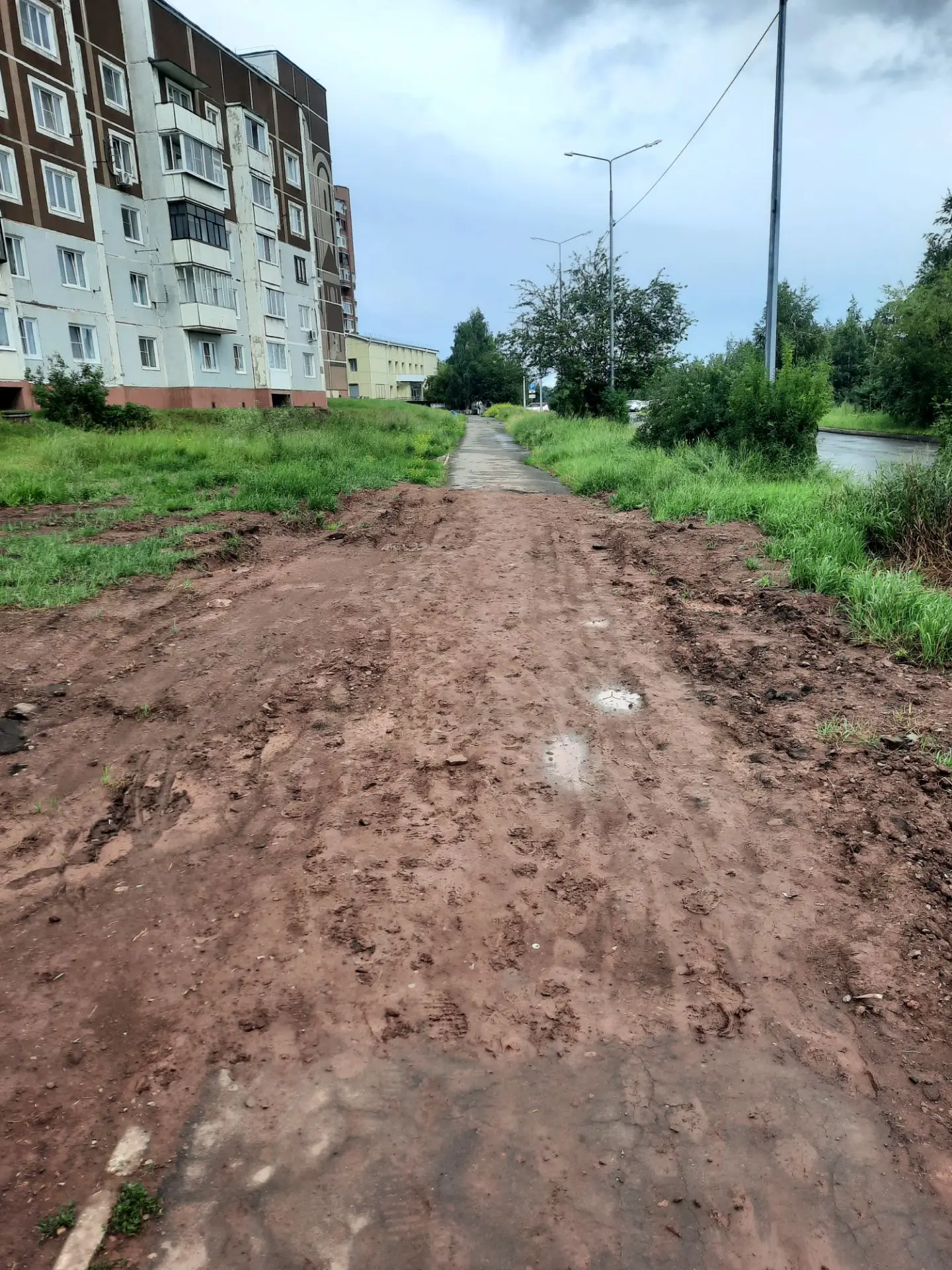 Прошу обязать организацию, выполнявшую в этом году ремонт сетей в районе дома номер 5 по улице Мечта