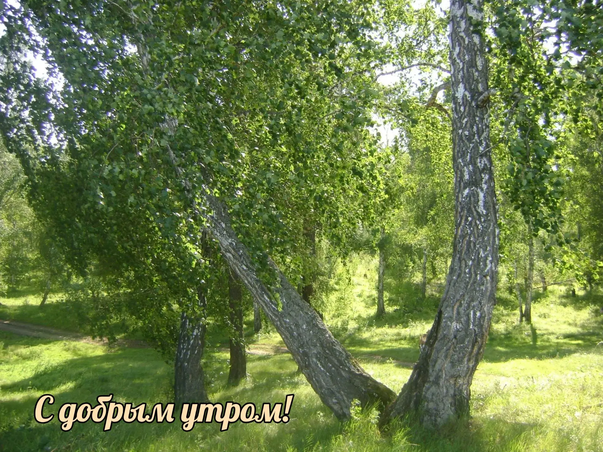 ☕ С добрым утром! Желаем хорошего настроения и приятных забот!☀️