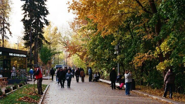 Ночь на пятницу стала самой холодной в Москве с начала осени.