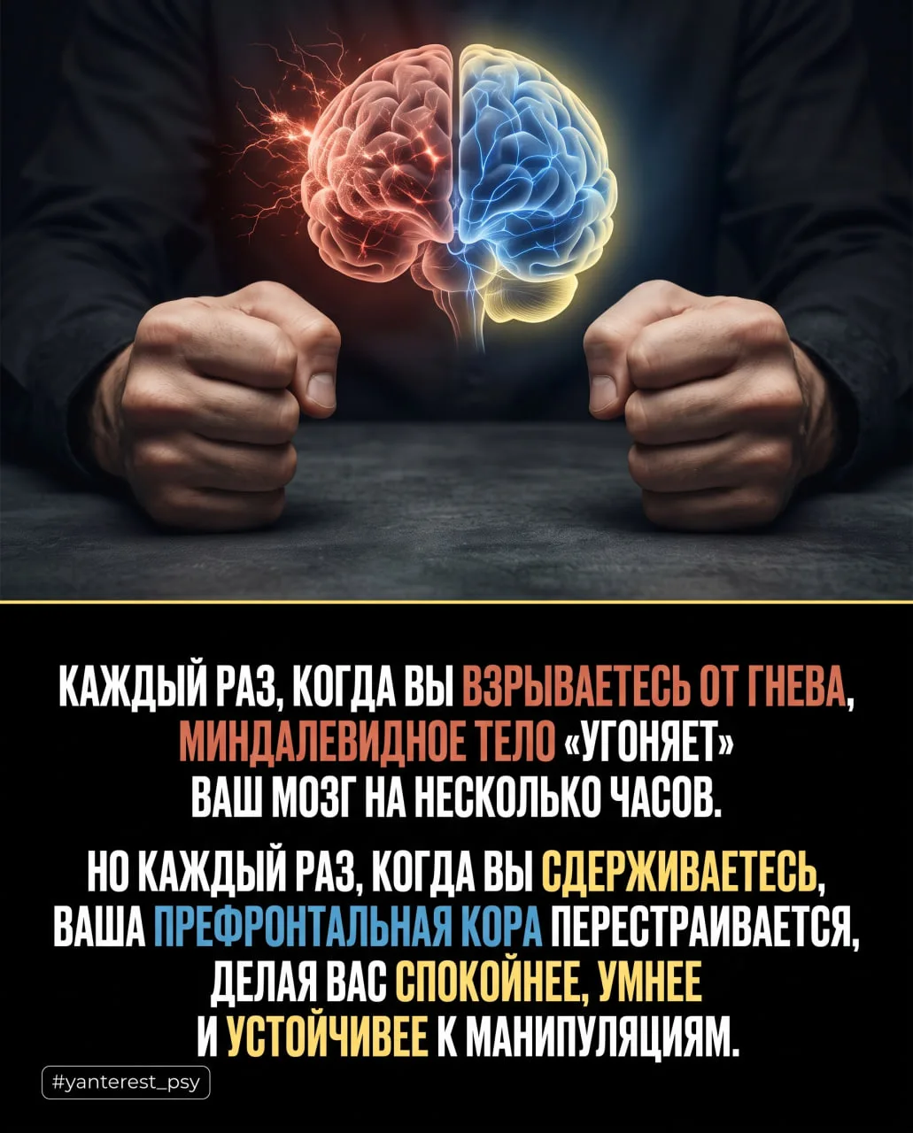 Гнев или осознанность: кто на самом деле управляет вашим мозгом? 🌋🧠