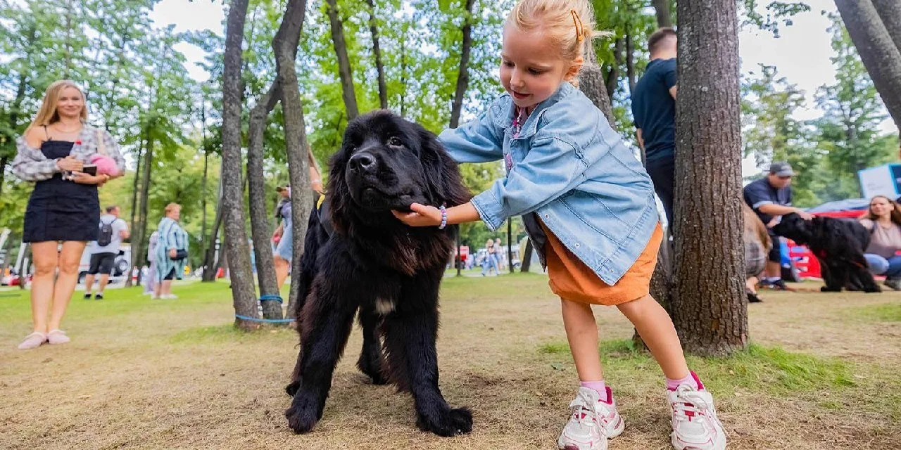 🐕 Фестиваль «Моспитомец» на ВДНХ 

🗓 26 июля, 11:00-18:00

На выставку-пристройство приедут более 