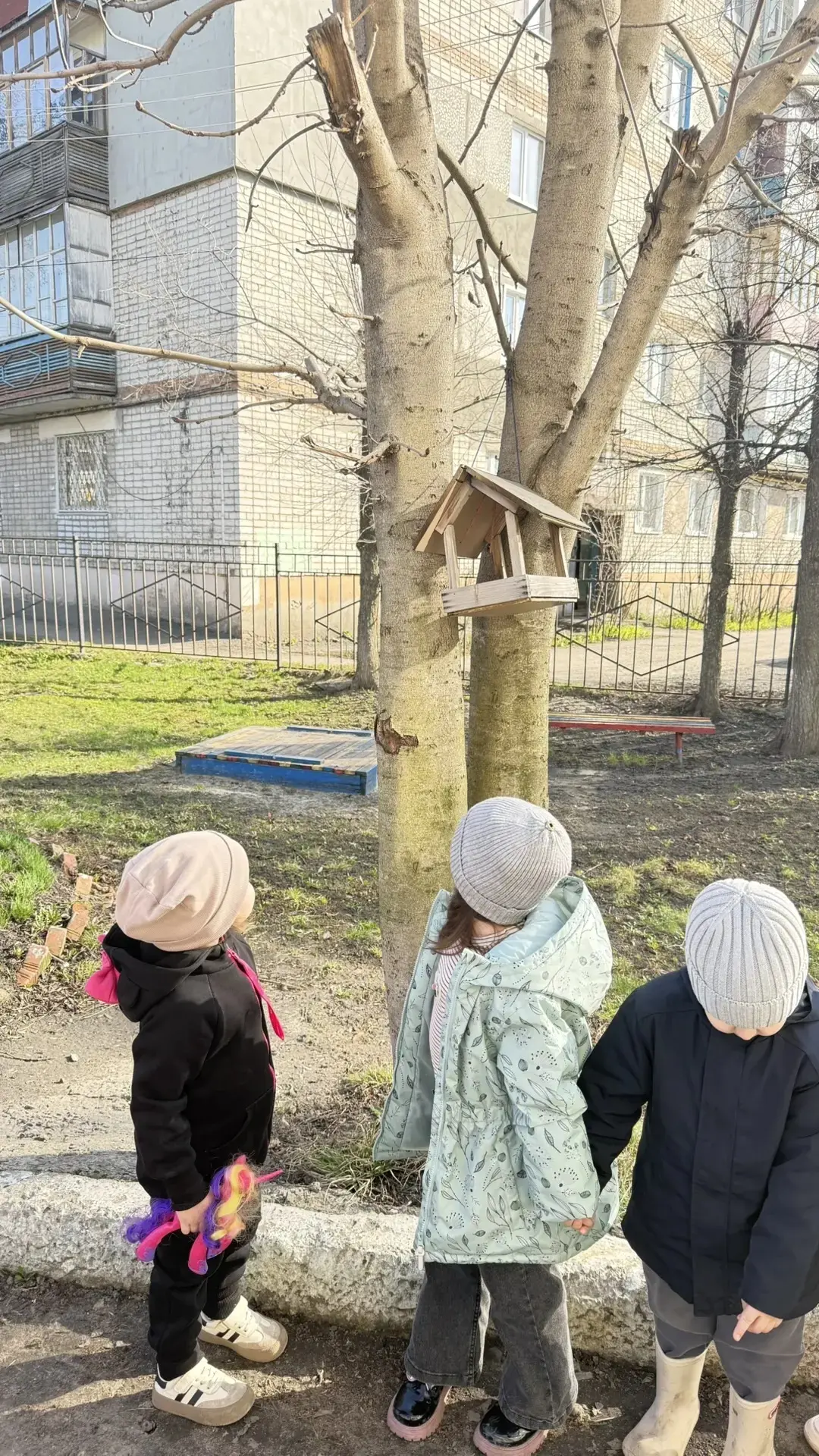 "День экологических знаний" 🐞🐝🦋🌷🌿