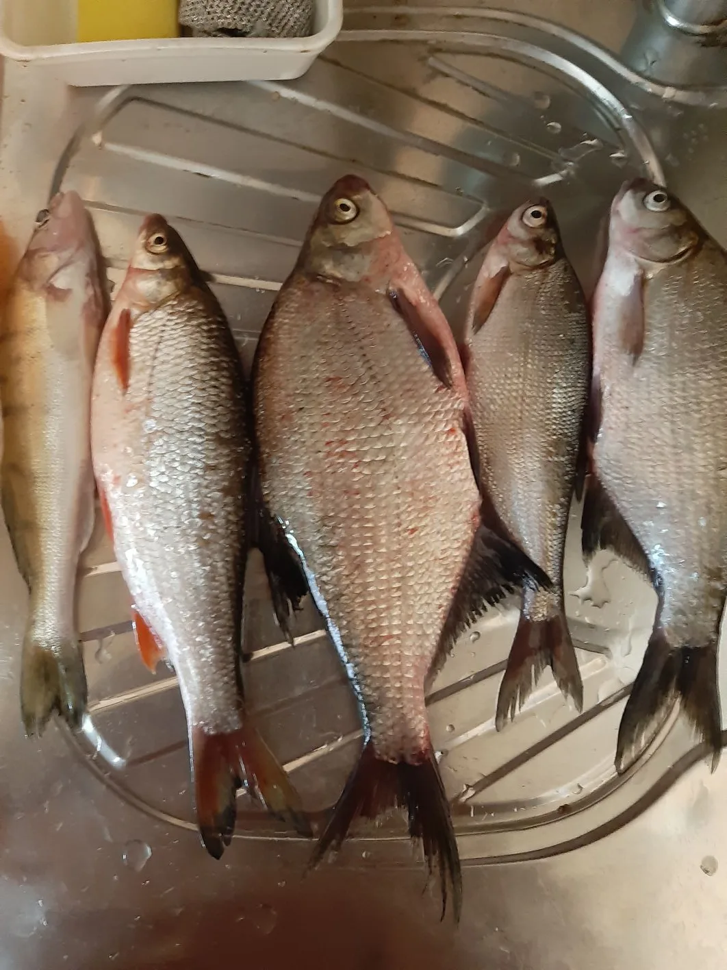 🎣 Пост от подписчика