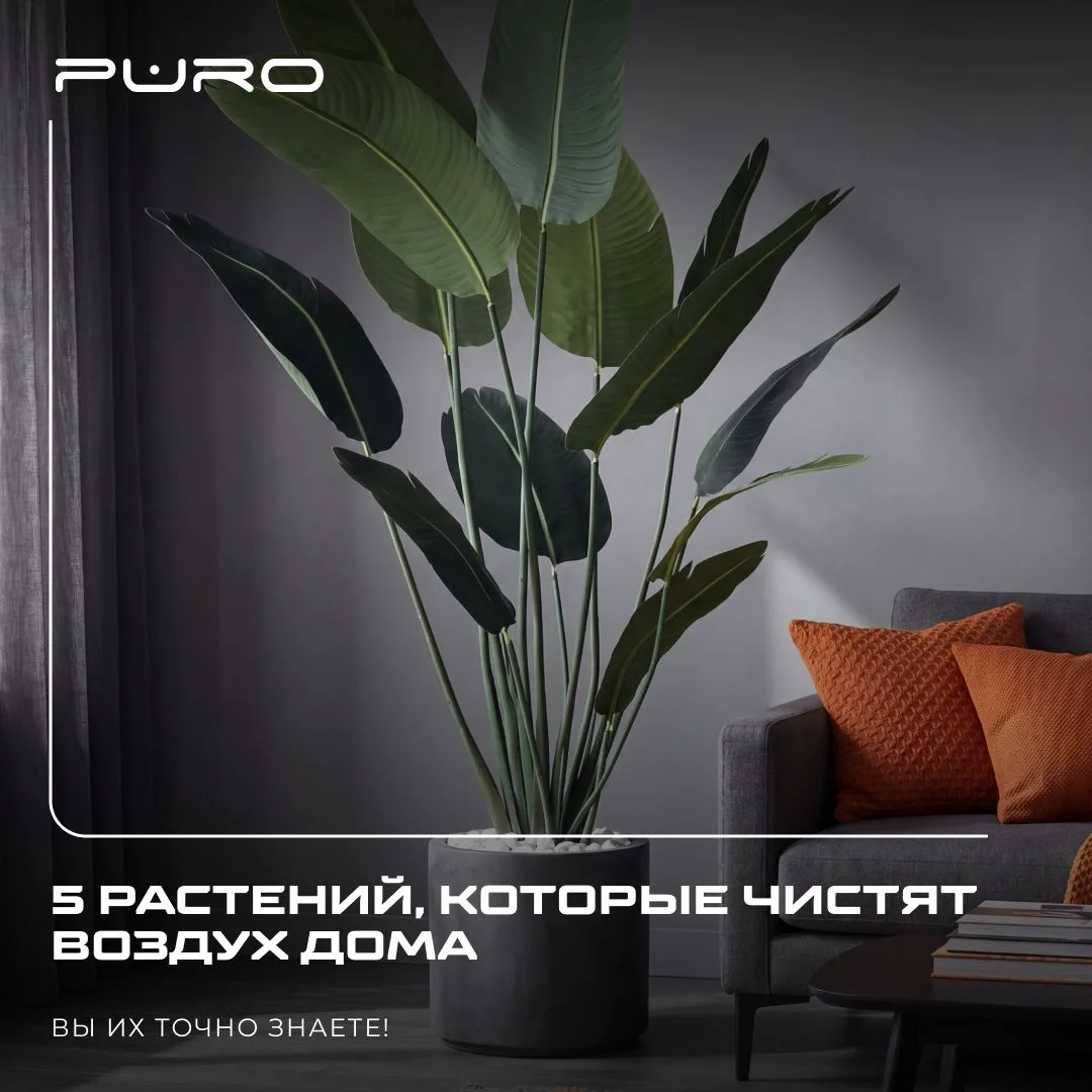 🌿 Воздух дома в 2 раза грязнее, чем на улице