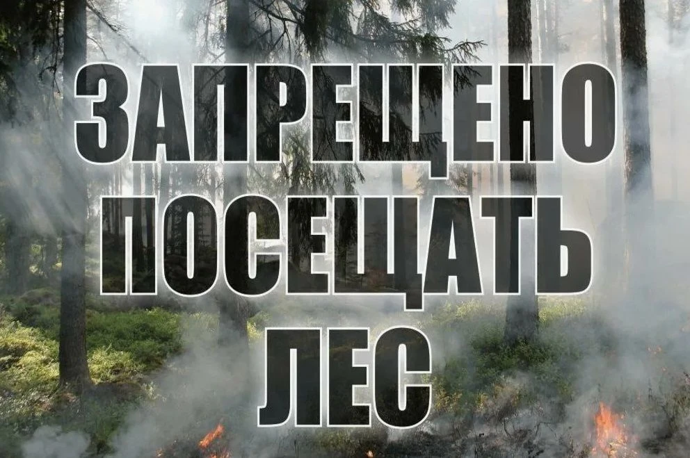 ❗По информации Правительства Курганской области, с 20 апреля в Курганской области введе...