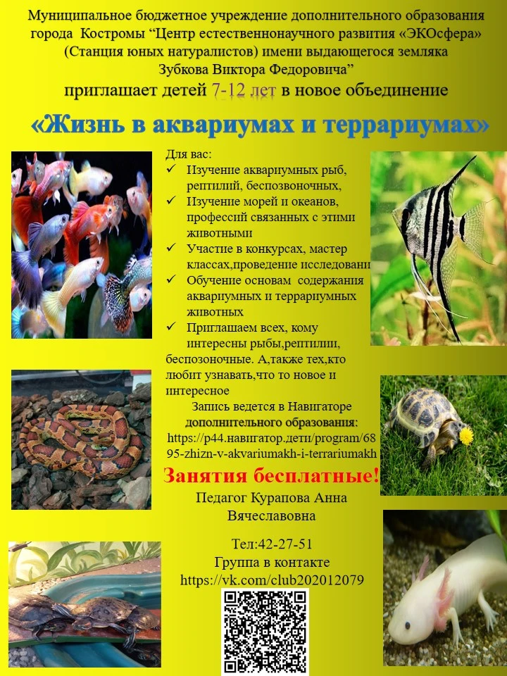 Приглашаем всех, кто мечтает о красивом аквариуме или хочет разобраться, как за ним пра...