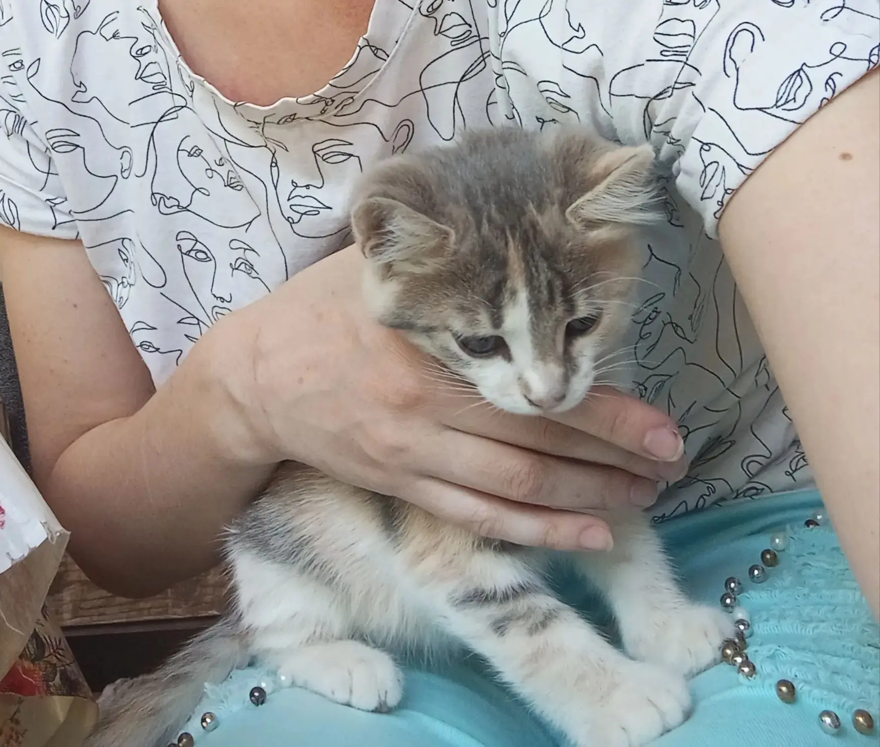 Отдам в хорошие руки котёнка: девочка, ей 3 месяца. Умная, добрая, красивая.