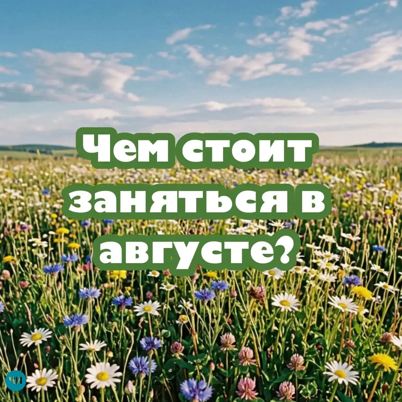 Август — время подводить промежуточные итоги лета и готовиться к осени. У него есть сво...