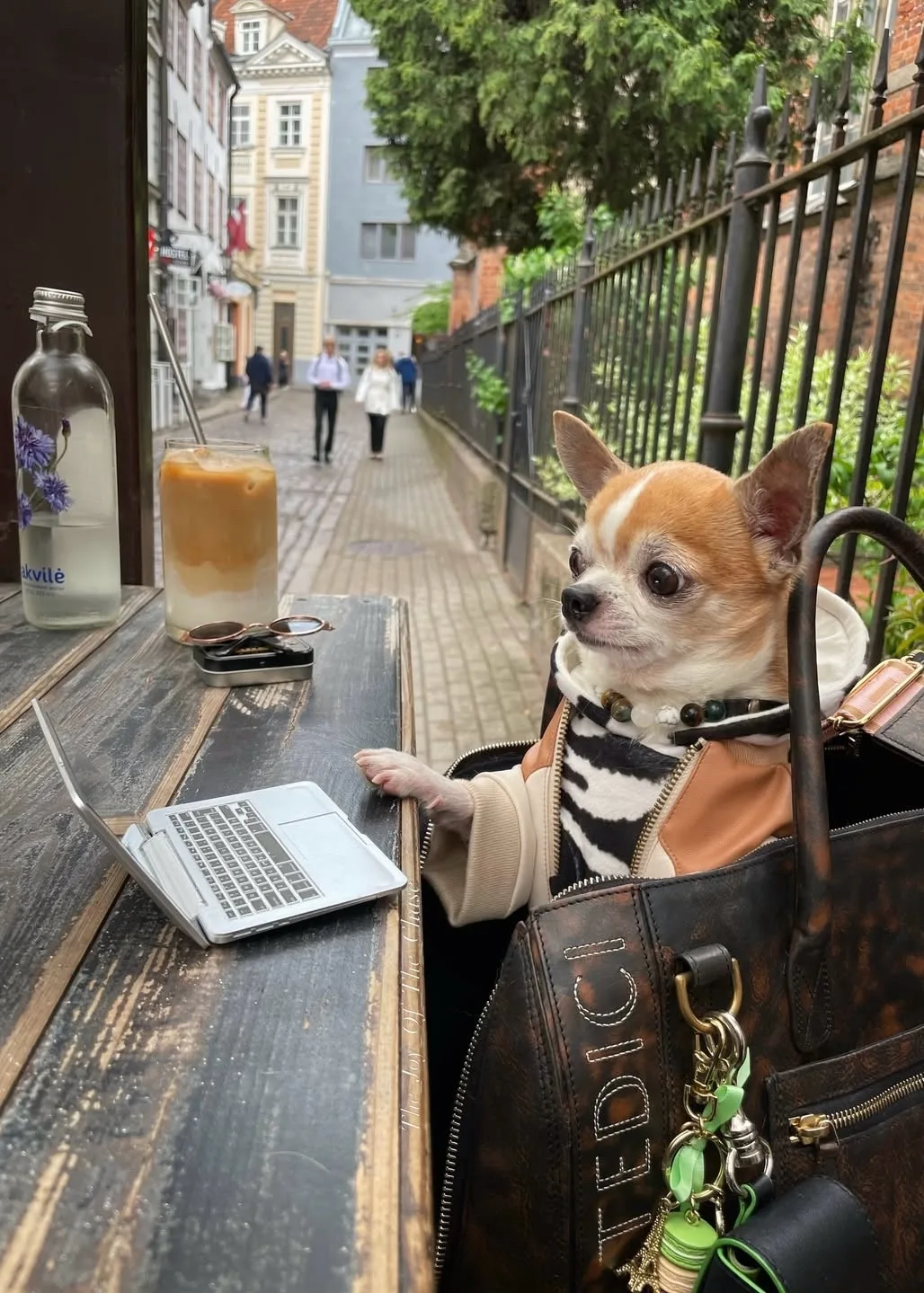 Доброе утро, друзья! 🥰