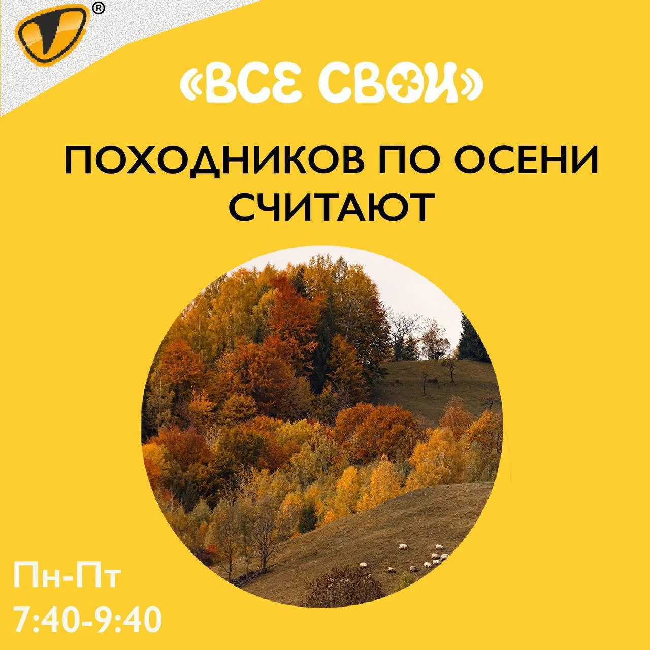 Походников по осени считают