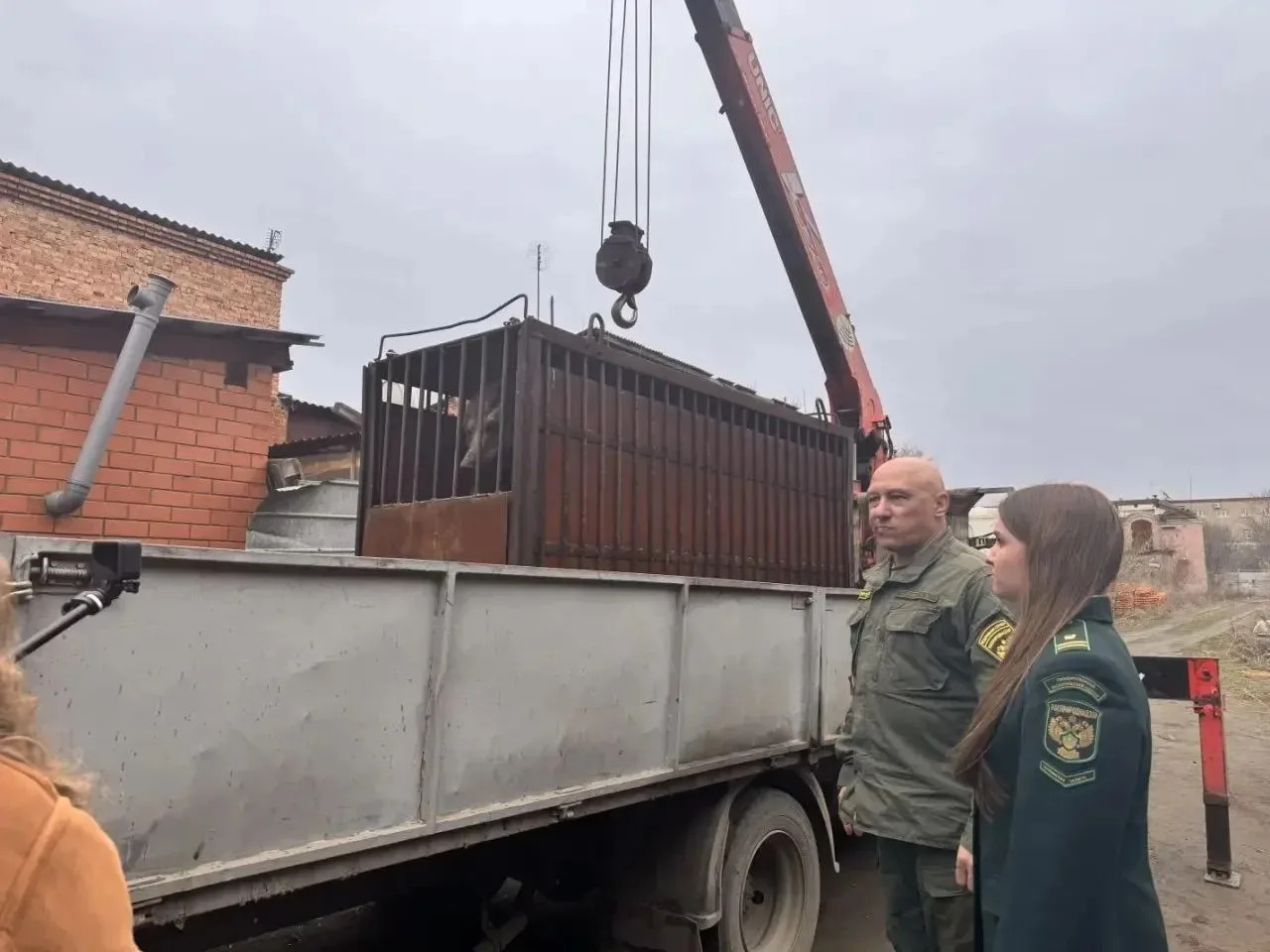 🐻Сотрудники Росприроднадзора совместно с полицией спасли медведя в Челябинской области    Росприродн