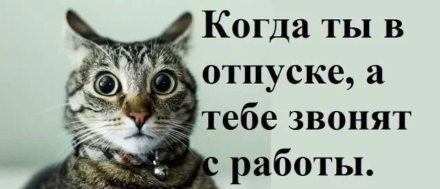 📞 Работник не обязан отвечать на рабочие звонки во время отпуска или после окончания рабочего дня, 