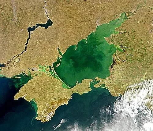 Азовское море становится всё солонее Солёность Азовского моря поднялась до 16… — публикация канала «ЧП КУБАНЬ И АДЫГЕЯ»