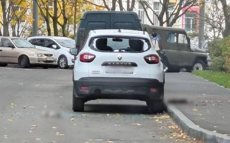 ⚡️ Три кошки погибли после падения с 20-го этажа в московском Ясенево