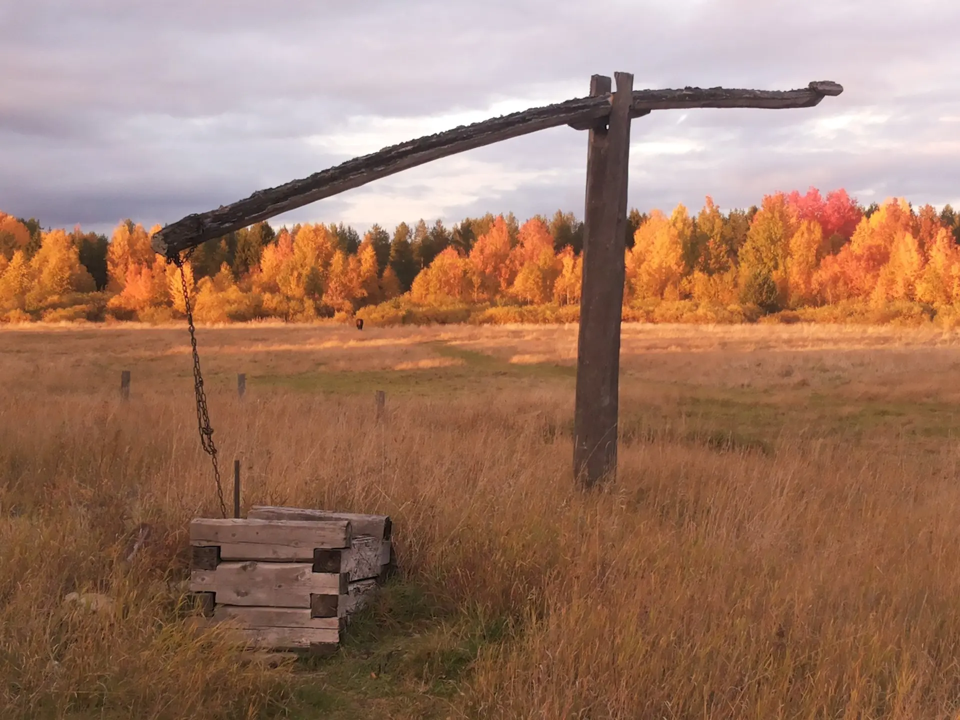 Доброе утро, регион! Сегодня вторник, 29 сентября 🌤️🍂