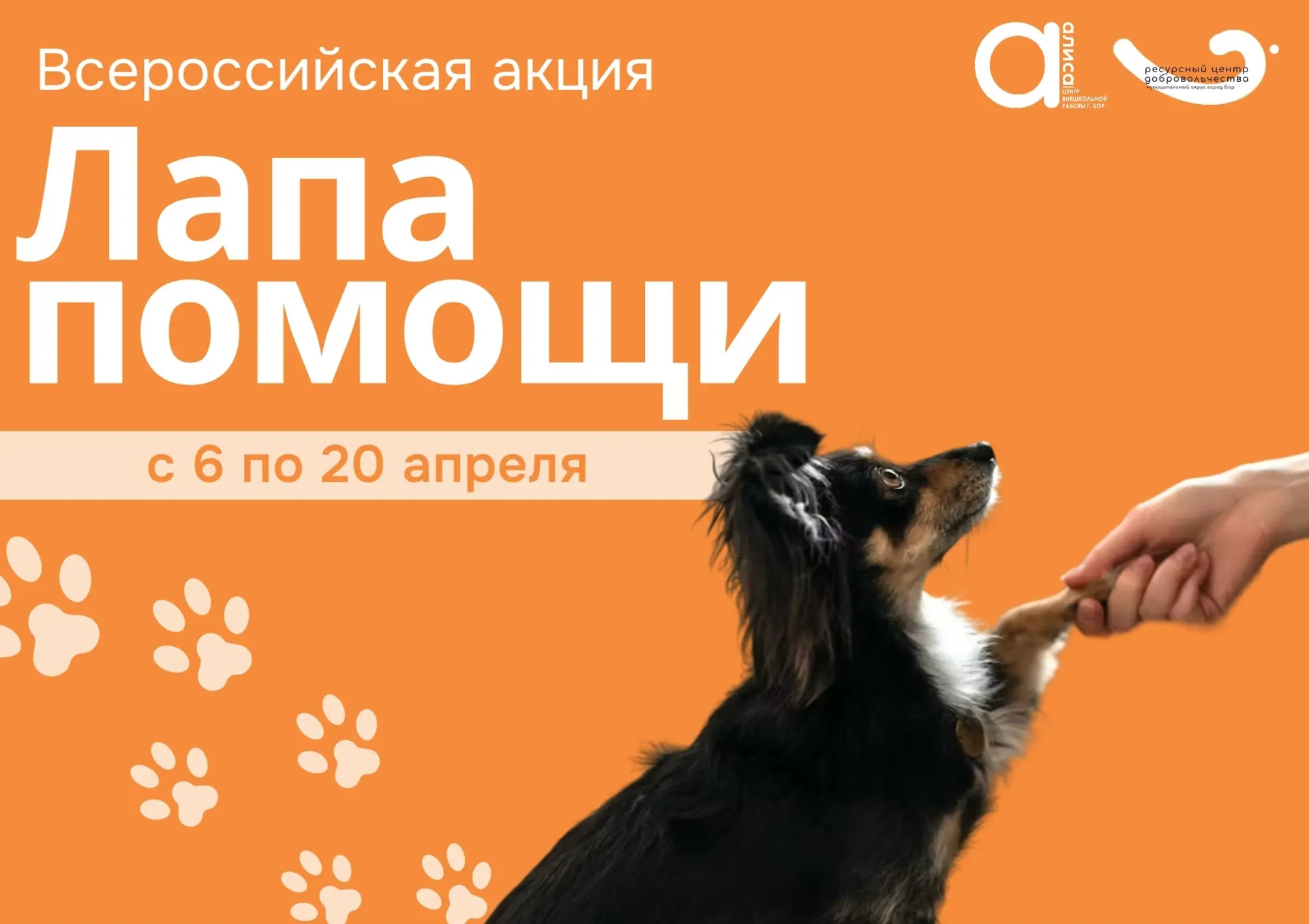 🐾 Всероссийская акция «Лапа помощи» 🐾

В приютах живут сотни собак и кошек, которые каждый день жд