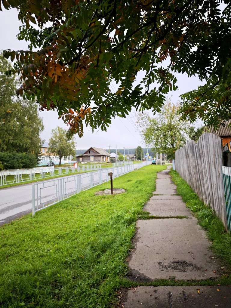 С добрым утром и с последним днём лета☘️