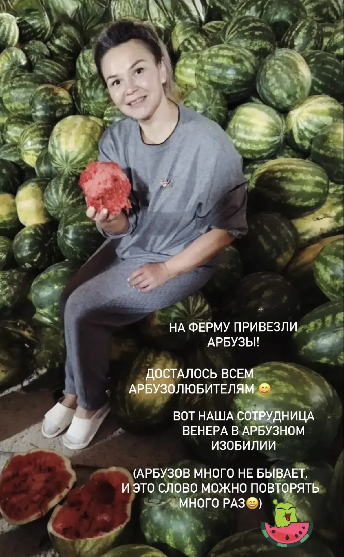 🍉 А ведь придется принять тот факт, что лето скоро закончится, и уйдет пора арбузорадо...