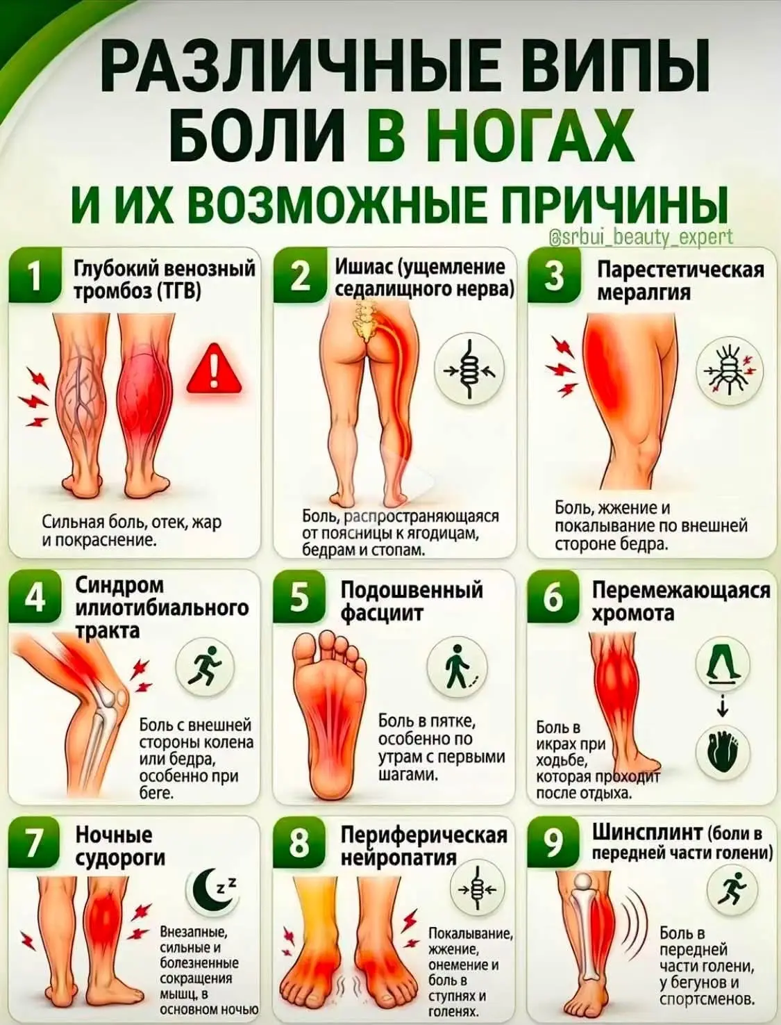Пенсионеры онлайн ✅