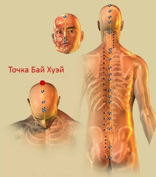 Бай-хуэй — точка здоровья!