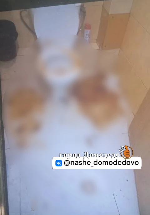 От подписчика: Домодедово должен знать своих героев ! Данные персонажи три дня приходят в торговый ц