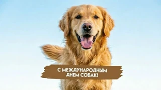 Международный день собак

Выездной библиоурок от Ивановской областной библиотеки для слепых
"Наш вер