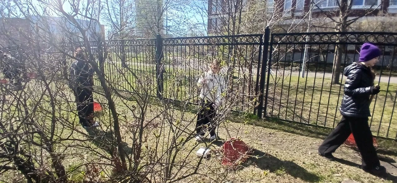 🌱 Забота о природе начинается с малого ☘️   Ребята 6 «Б» класса вместе с классным руководителем Эльв