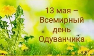 13 мая – отмечается Всемирный день одуванчика.