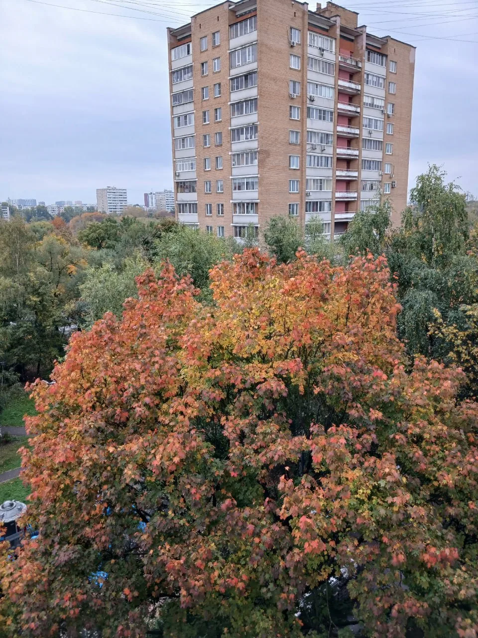 Ольга Бакаева показала, каким надо запомнить сентябрь во время осеннего равноденствия. ...