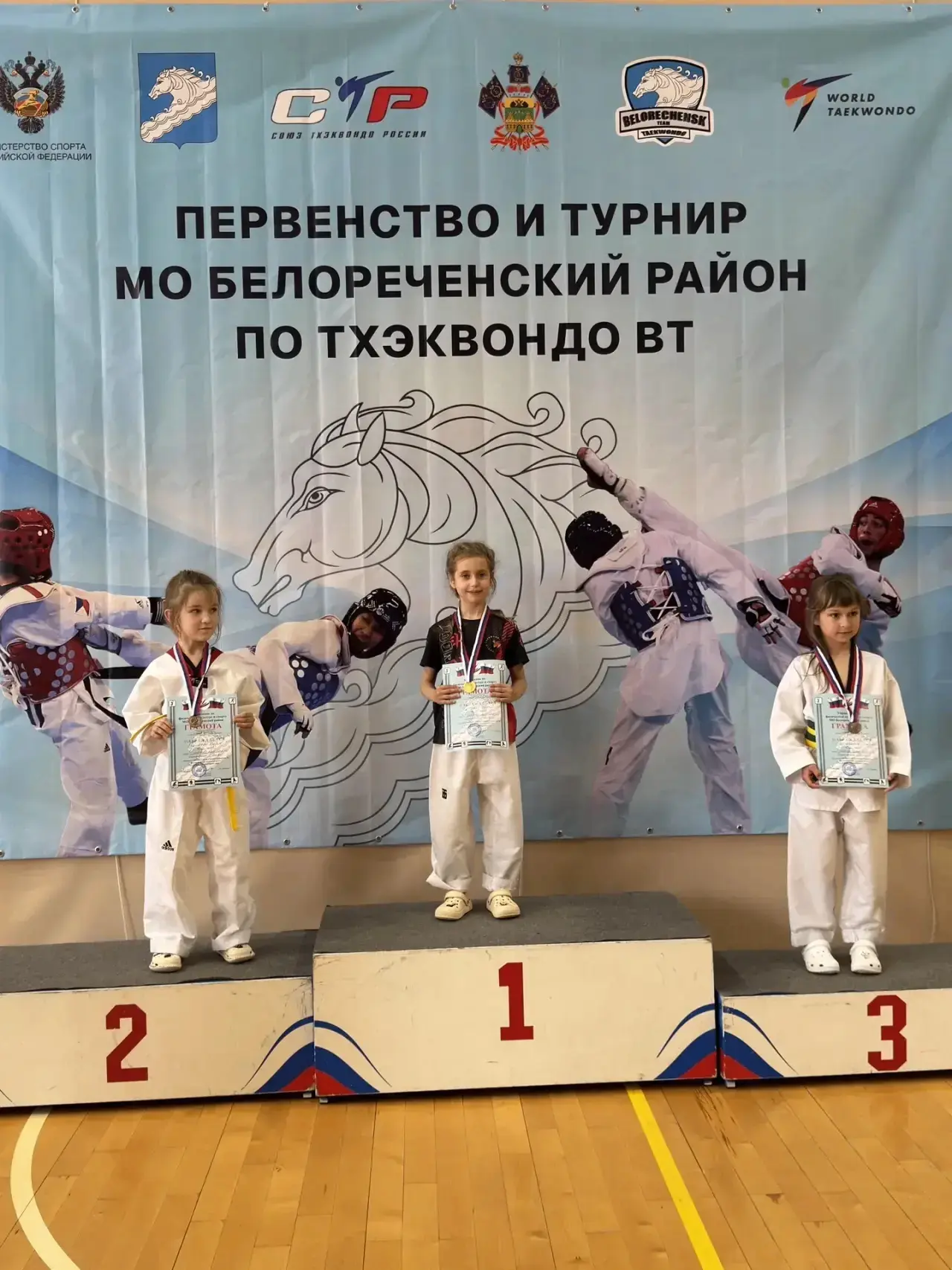 📌  7 июня  в  Белореченске прошло первенство и турнир МО Белореченский район по тхэквондо ВТ. Золот