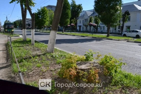 🫠 Чем «американцы» вредят Коврову?

Американский (канадский) клён — инвазивное растение. Попадая за