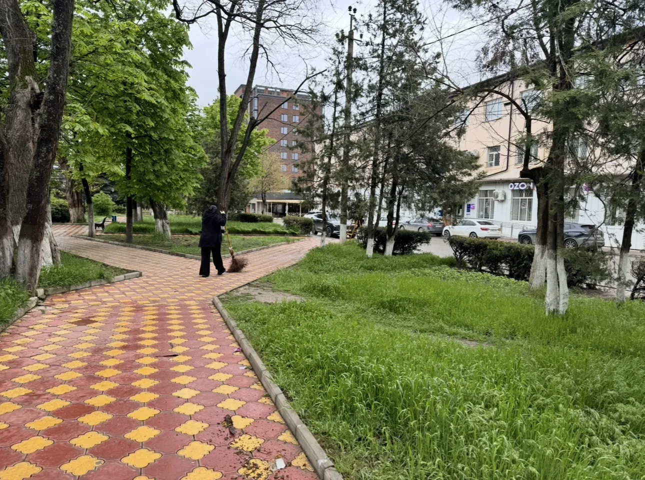 Любовь к городу начинается с заботы о нём. ❤️
