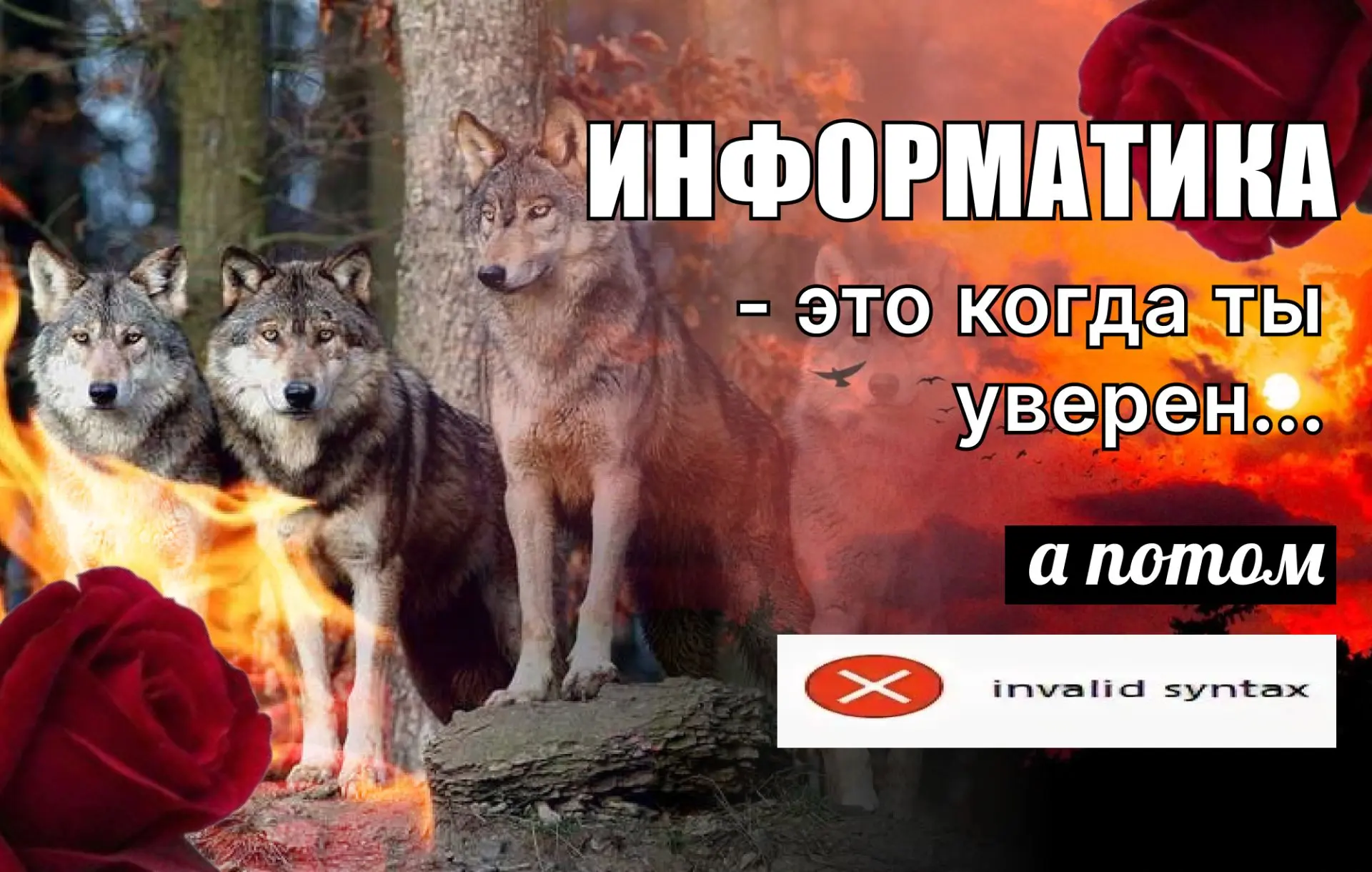 🏆Волки не плачут из-за синтаксиса, волки компилируют код до победного

Каждый из вас точно прекрасн