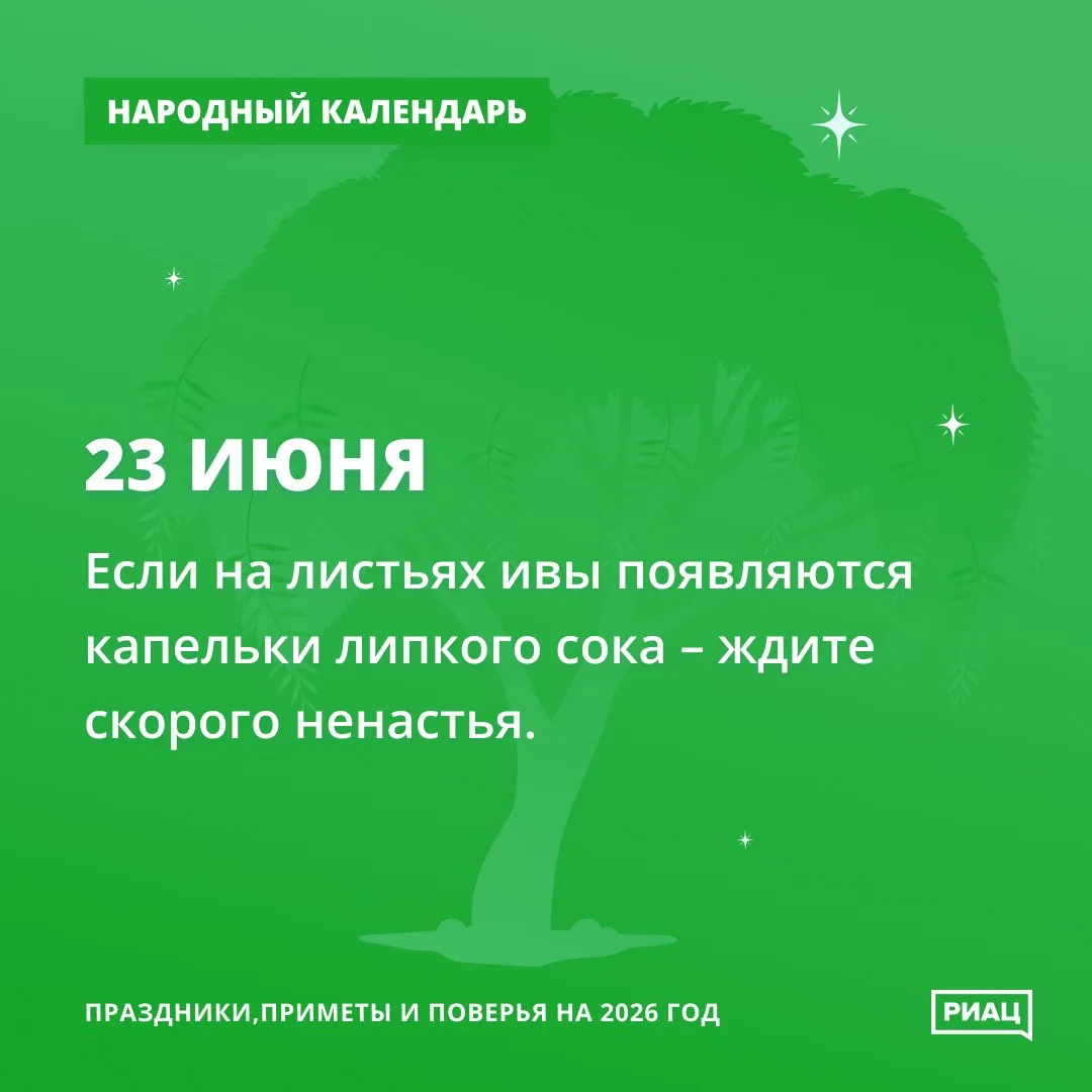 🌿 Листья ивы "плачут" соком - к ненастью.