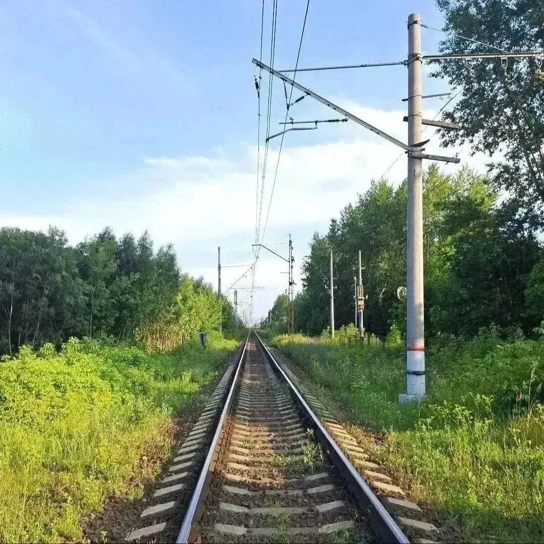 🛤 Дорогие электростальцы, пожалуйста, внимательно и осторожно переходите железнодорожн...