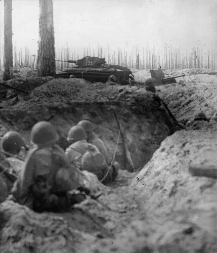 Во Всеволожском районе поисковики подняли останки 102 бойцов, защищавших Невский пятачо...