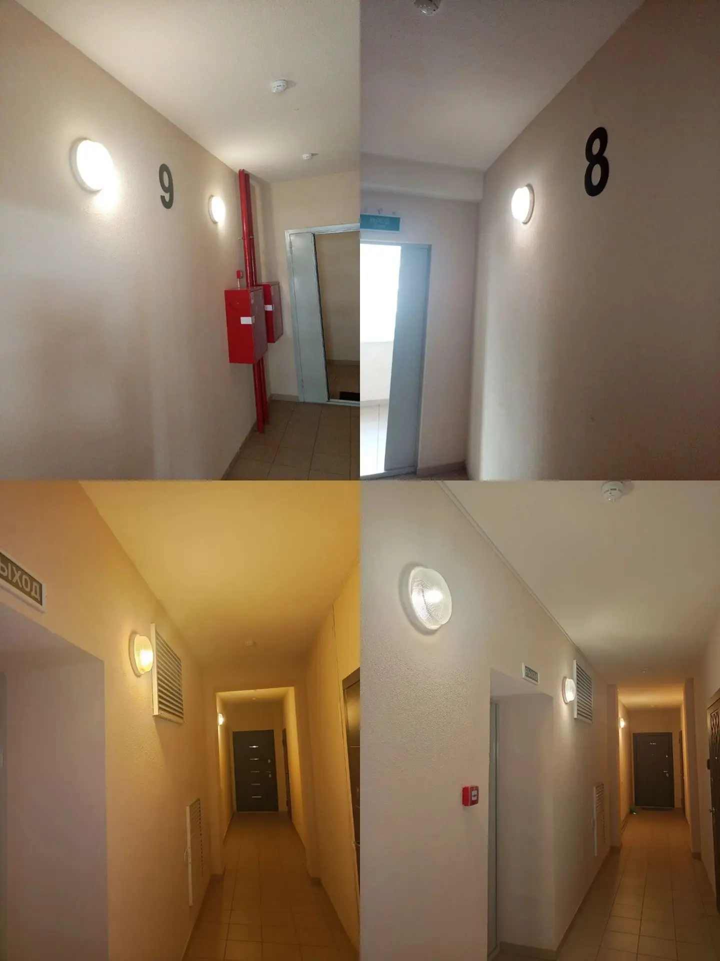🏠Г. Калининград