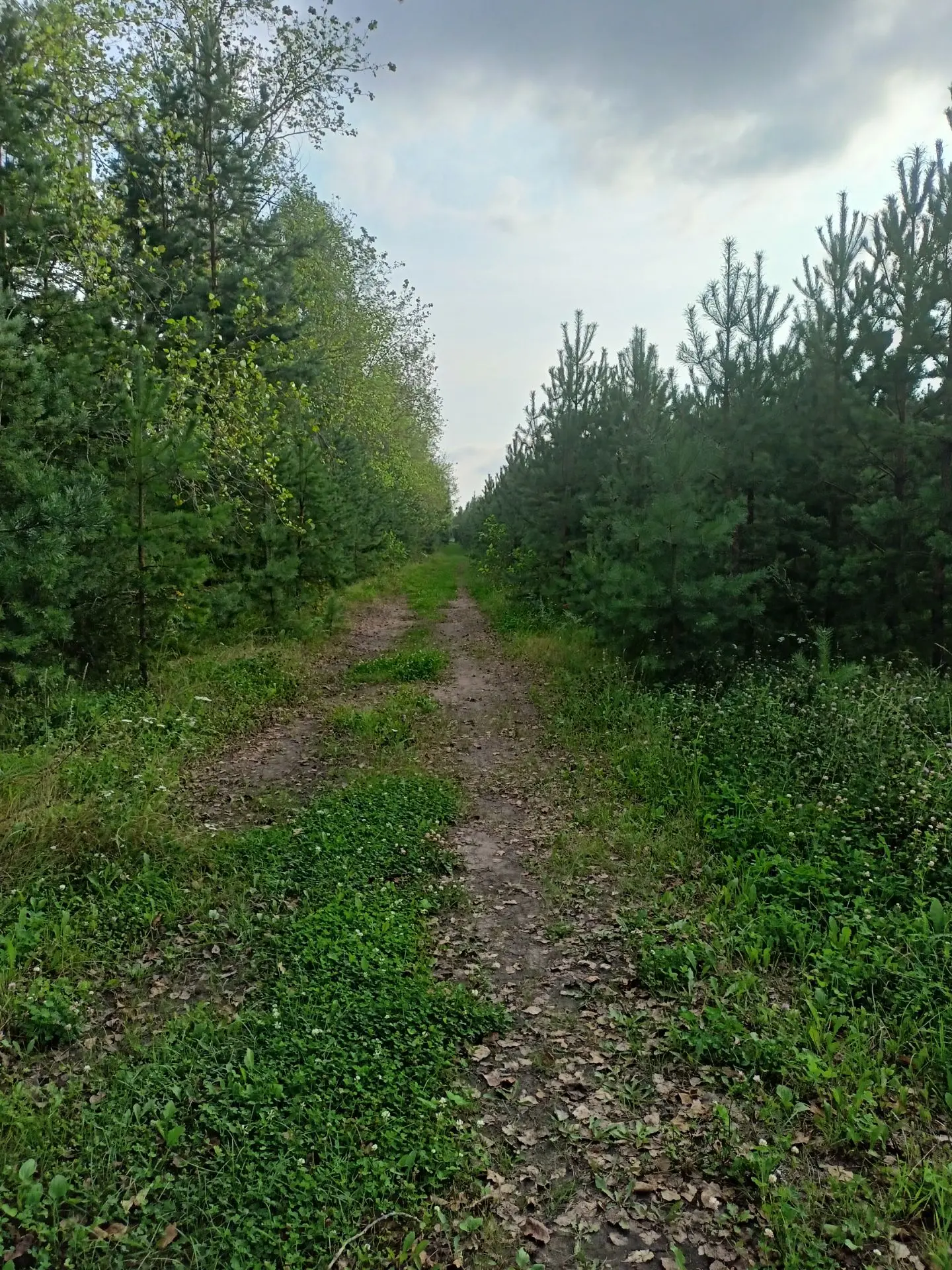 Я наконец-то приехала в сад ,спустя 1,5 недели отпуска 🥰