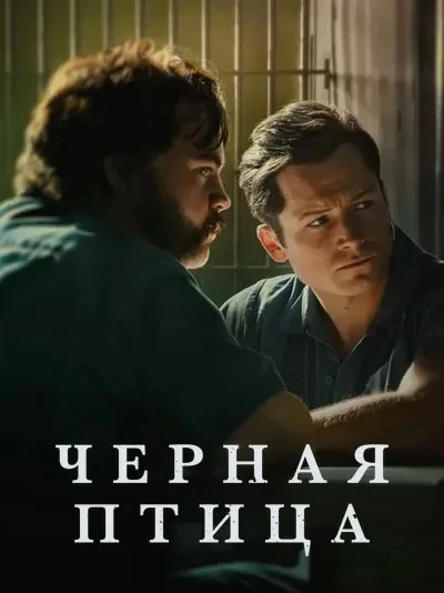 Чёрная птица 💥