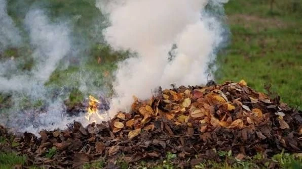 🍂 В Пятигорске напомнили о запрете сжигания листвы и мусора.