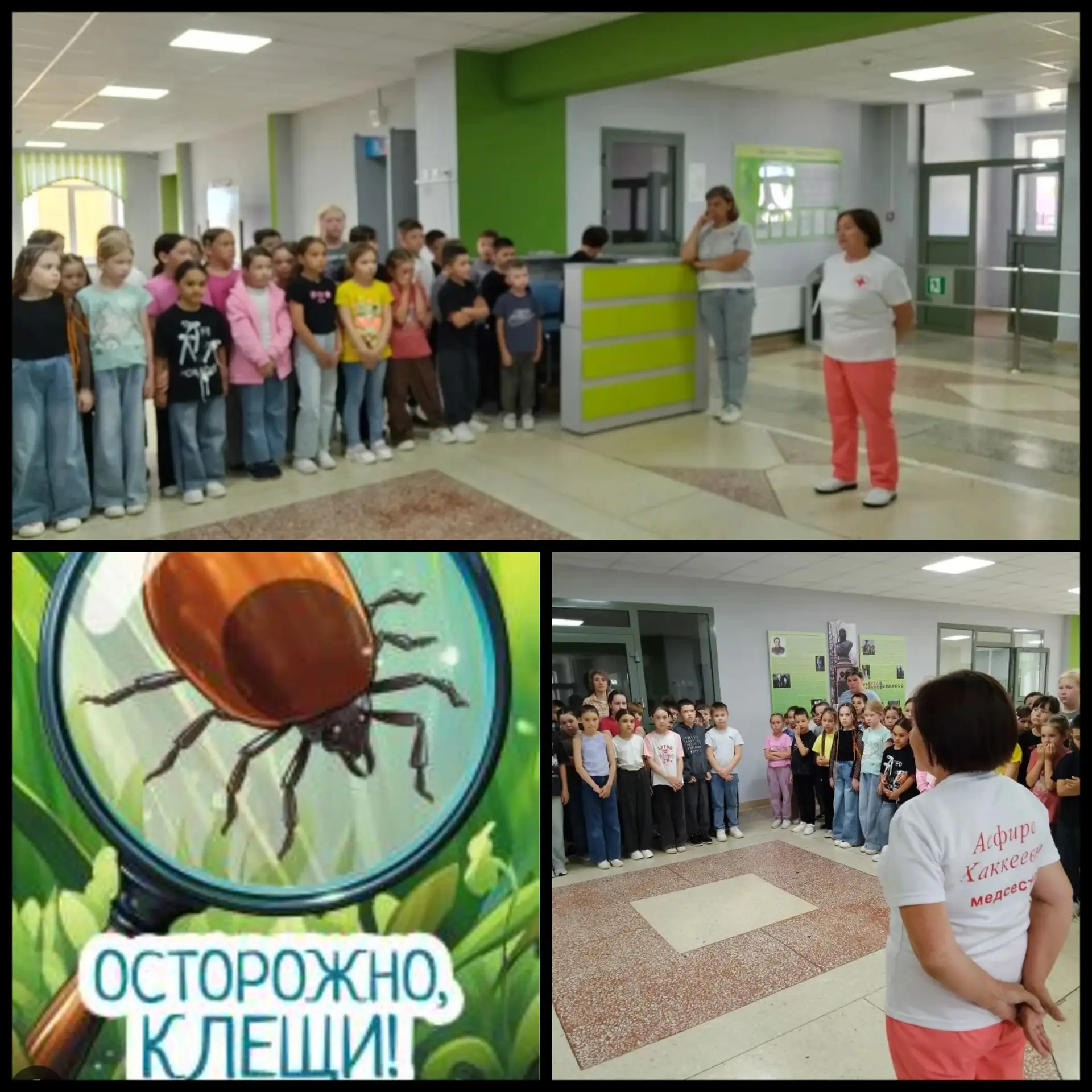 Осторожно, клещи: важный урок в школьном лагере.