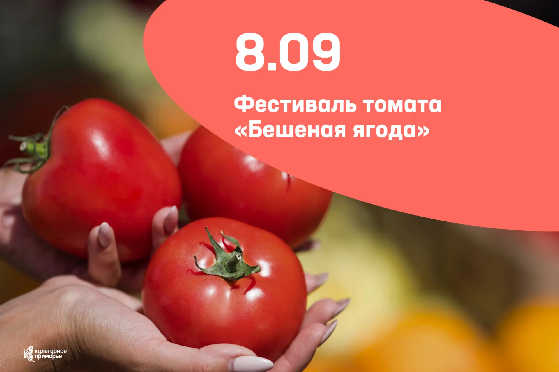 Черниговка снова превратится в томатную столицу Приморья 🍅