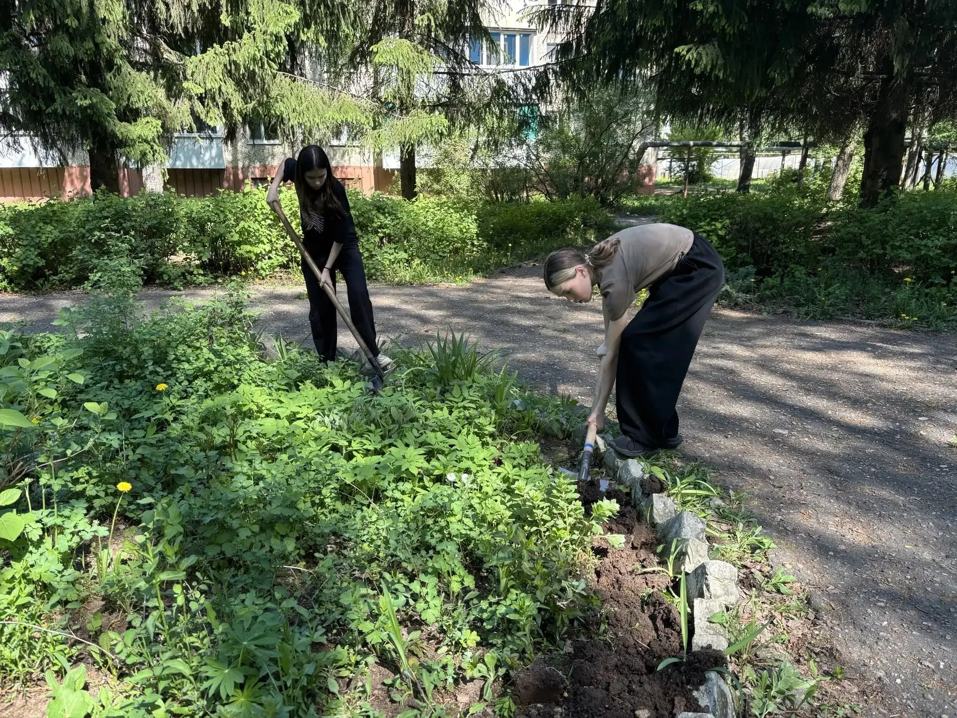 В рамках поручения «Отряд особого назначения»  учащиеся 7 класса посадили бархатцы на бульваре Побед
