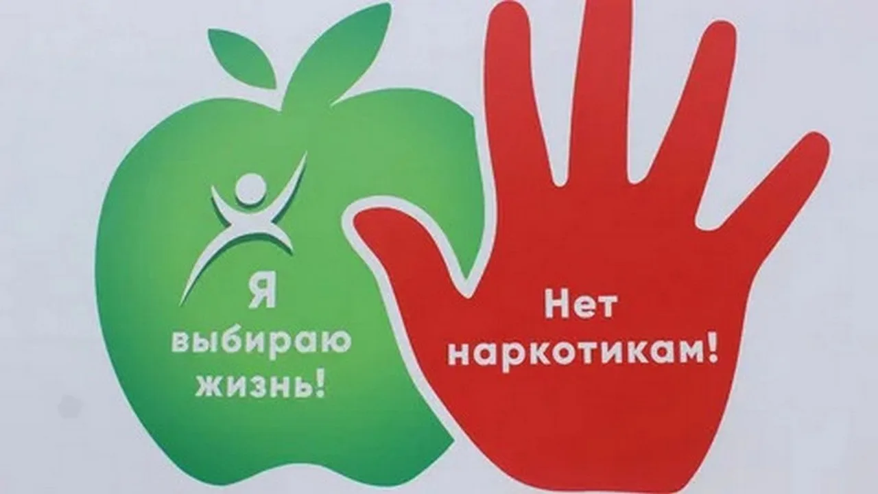 Знания — твой главный щит. И проверить его прочность можно прямо сейчас!🛡